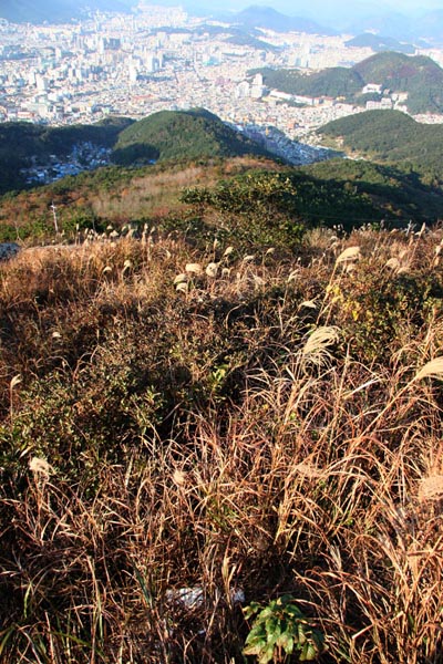 정상에서 전포동 쪽을 본 풍경 